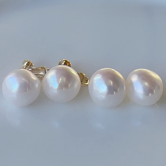 Pearl Plump パール プランプ