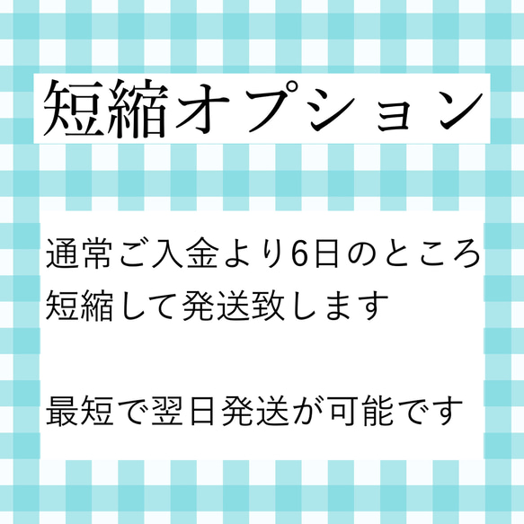 発送日短縮オプション 1枚目の画像