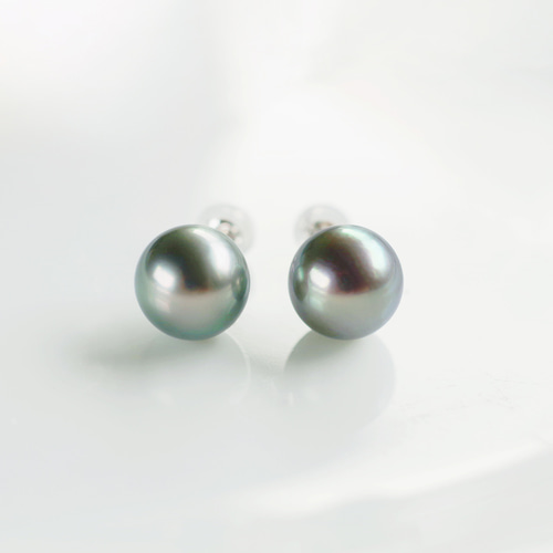 Pt900 黒蝶パール スタッド ピアス（イヤリング可能） ピアス  