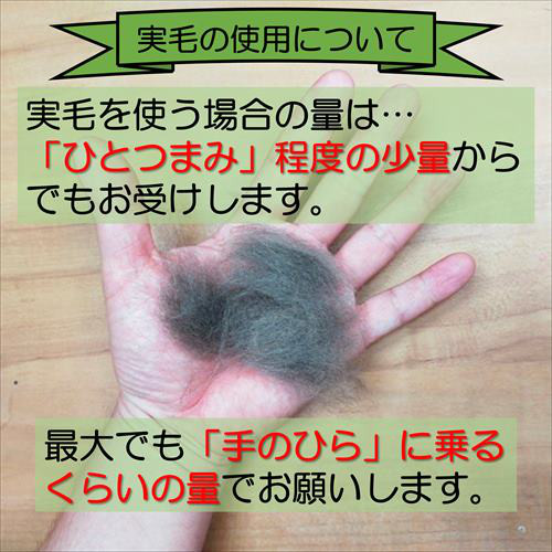 うちの子そっくり羊毛フェルトオーダー ぬいぐるみ ﾍﾟｯﾄ ﾐﾆﾁｭｱ