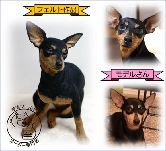 うちの子そっくり羊毛フェルトオーダー  ぬいぐるみ ﾍﾟｯﾄ ﾐﾆﾁｭｱﾀﾞｯｸｽ ﾁﾜﾜ 猫のオーダー 犬のオーダー 13枚目の画像