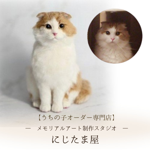 うちの子オーダー】愛犬・愛猫のそっくり人形｜心に残るカタチ