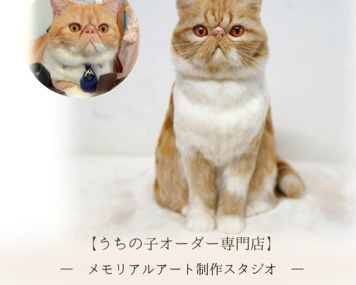 うちの子オーダー】愛犬・愛猫のそっくり人形｜心に残るカタチ