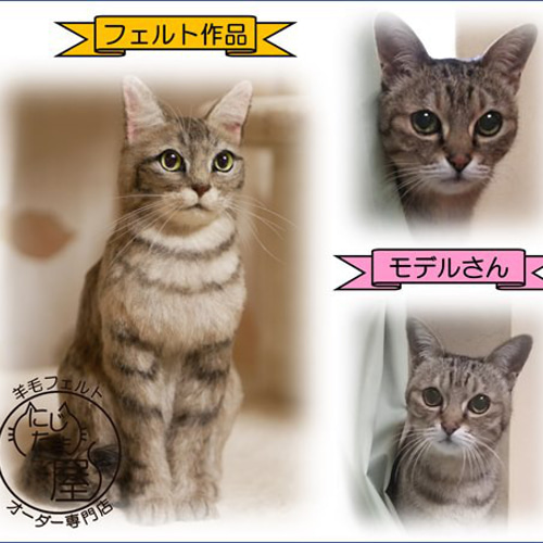 うちの子そっくり羊毛フェルトオーダー ぬいぐるみ ﾍﾟｯﾄ ﾐﾆﾁｭｱ