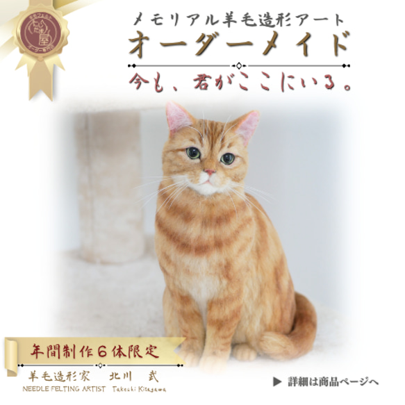 うちの子オーダー】愛犬・愛猫のそっくり人形｜心に残るカタチ