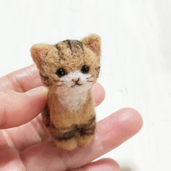 ◾受注制作・羊毛フェルトの小さな子猫(きじとら猫)　猫グッズ　猫雑貨 8枚目の画像