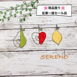 SERENO＊ワイヤーガーランド (フルーツ) 1枚目の画像