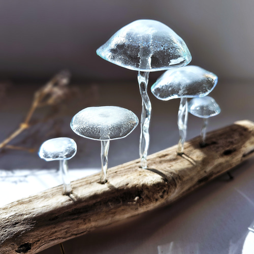 ガラスのキノコ 置物 クリアぼかし5本 立体・オブジェ スタジオ