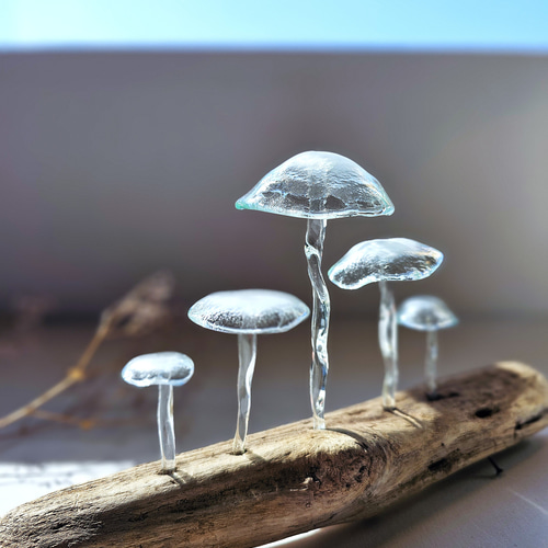 ガラスのキノコ 置物 クリアぼかし5本 立体・オブジェ スタジオ