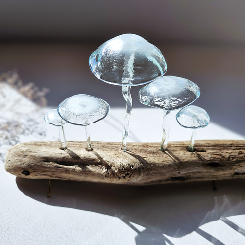 ガラスのキノコ 置物 クリアぼかし5本 立体・オブジェ スタジオ