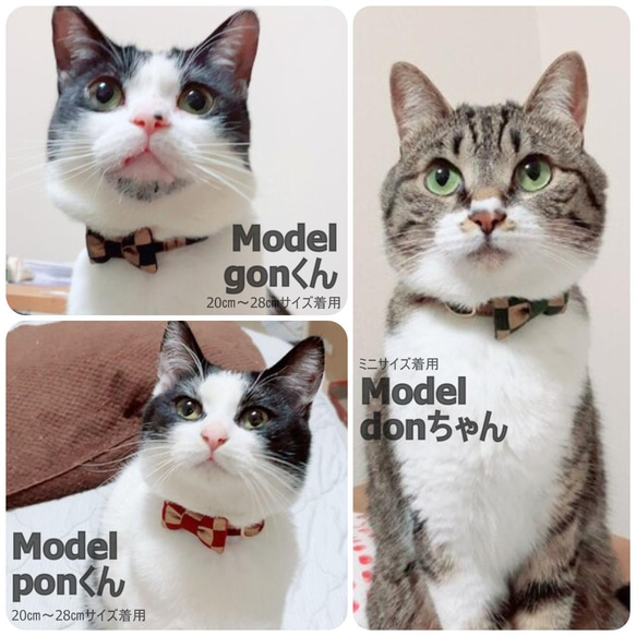 華麗格紋日式領*貓領 第7張的照片