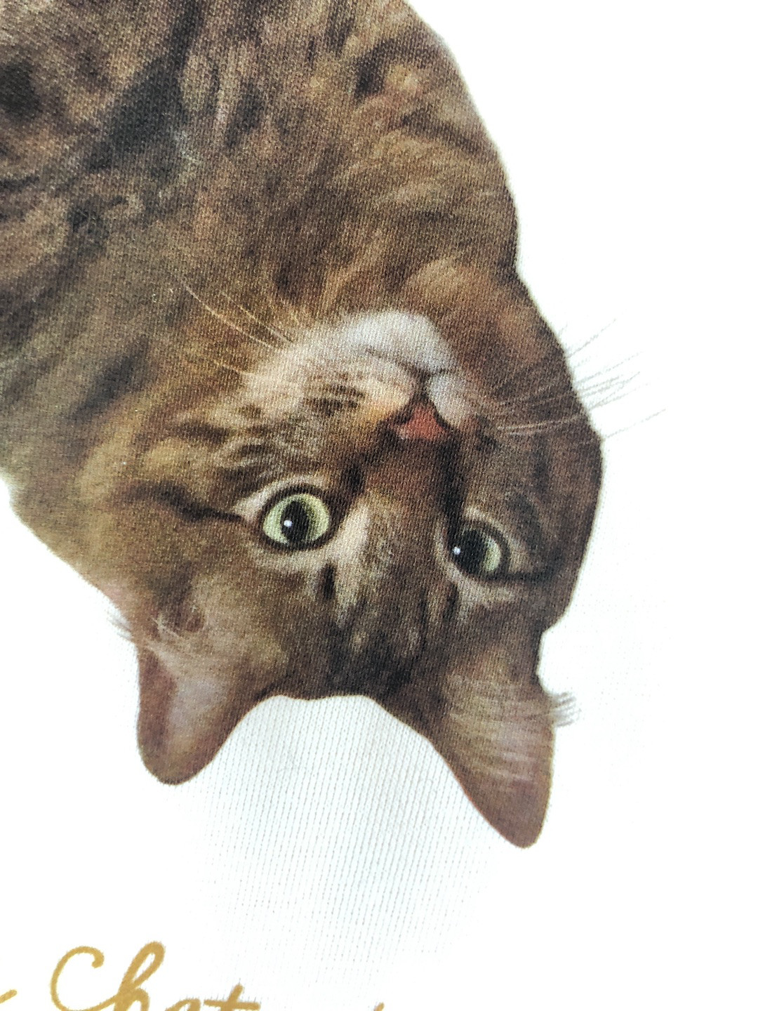 我を忘れて何かに夢中になりすぎていると、ニャッ!と気づいた時のためのスウェット。