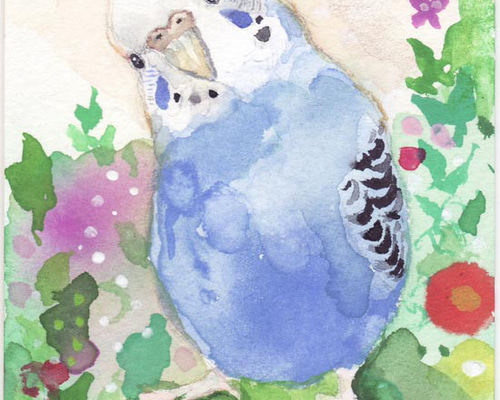 うちの子インコのイラスト（原画 鳥 インコ オリジナル 水彩画