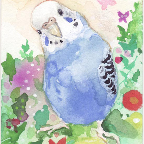 うちの子インコのイラスト（原画 鳥 インコ オリジナル 水彩画