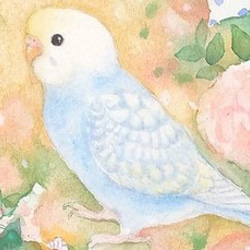 うちの子インコのイラスト（原画　鳥　インコ　オリジナル　水彩画） 3枚目の画像