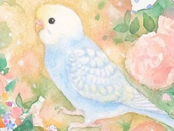 うちの子インコのイラスト（原画　鳥　インコ　オリジナル　水彩画） 3枚目の画像