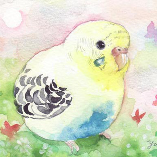 セキセイインコ ひまわり イラスト 原画 セキセイインコ ひまわり イラスト 原画 - メルカリ