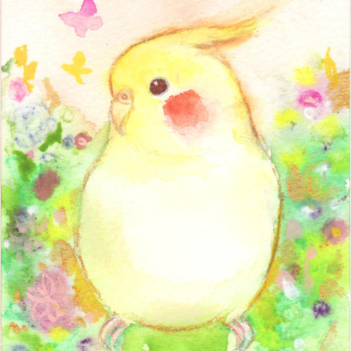 セキセイインコ ひまわり イラスト 原画 セキセイインコ ひまわり イラスト 原画 - メルカリ