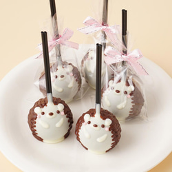 ハリネズミドームハウス　チョコレート❤︎ はりねずみケーキポップス5本セット チョコレート Kozue-Sweets 通販