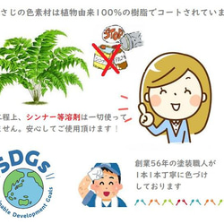 ＼送料無料クリックポスト対応／ いろさじ 先割れ 給食 スプーン ステンレス製 かわいい 弁当 国産 被らない ギフト 3枚目の画像