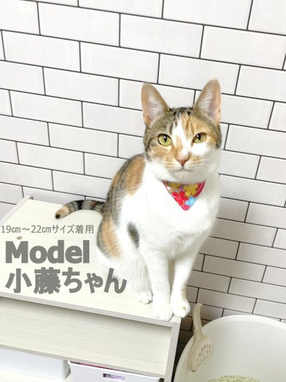 お着物風 和風バンダナ＊猫ちゃん首輪 4枚目の画像