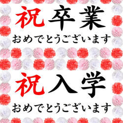 お祝い　横断幕　卒業　入学　記念撮影に!!　小学校　中学　高校　大学　学校　おめでとう 1枚目の画像