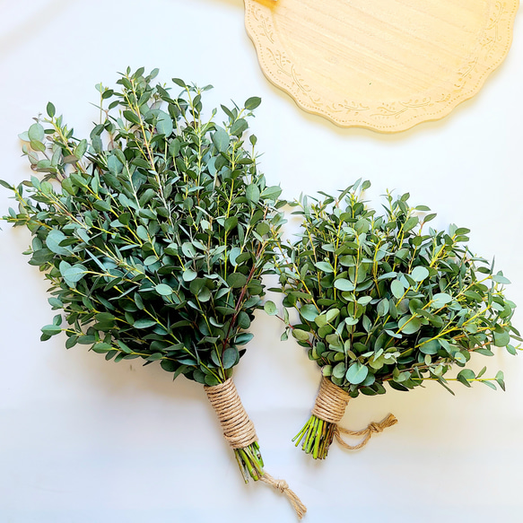 3タイプから選べる fd ユーカリのナチュラルスワッグ ドライフラワー