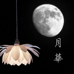 ウェルカム ようこそ くじら クジラ 鯨 ステンドグラス風 店舗 自宅