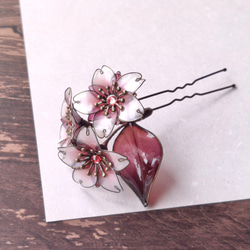 Cherry Blossom mini hair ornament 第5張的照片
