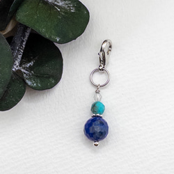 天然石 イヤホンジャック オーダーメイド hs013.jpg