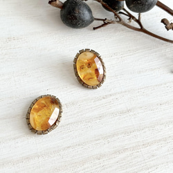アンバー ピアス（スタッド・一粒） の人気通販｜Creema(クリーマ