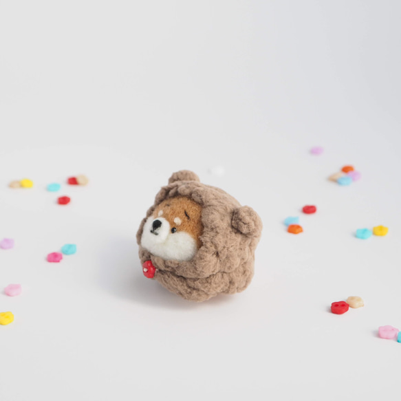 [客製化] - 僅限冬季 - 穿著毛茸茸的小熊（紅柴犬、黑柴犬、白柴犬）羊毛氈的 Mayu Shiba Inu 第2張的照片