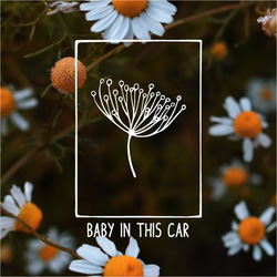 [BABY IN THIS CAR]車貼 第1張的照片