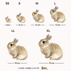 [客製化] [L 尺寸] 羊毛氈兔子寵物我的孩子訂購娃娃填充玩具非常適合禮物和禮物 第11張的照片