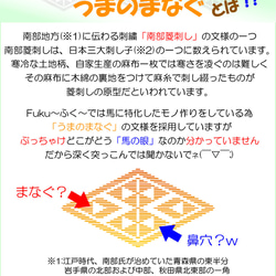 馬 蹄鉄 うまのまなぐ バレッタ【オーダー】 9枚目の画像
