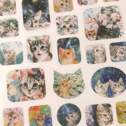 再再再…販☆猫の絵いろいろ☆シールシート30種類 1枚目の画像