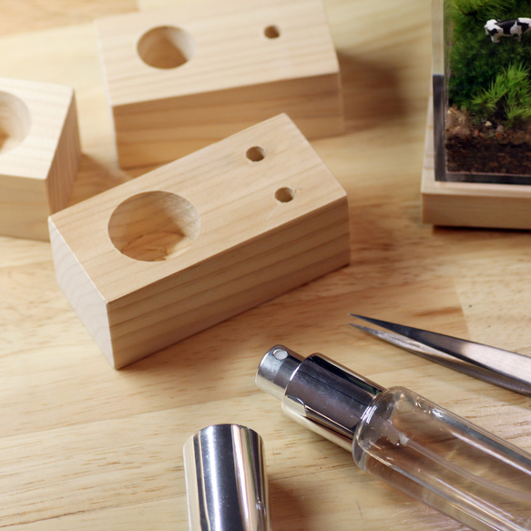 苔テラリウム用 お手入れセット「ピンセット＆スプレー」 7枚目の画像