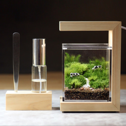 苔テラリウム用 お手入れセット「ピンセット＆スプレー」 8枚目の画像