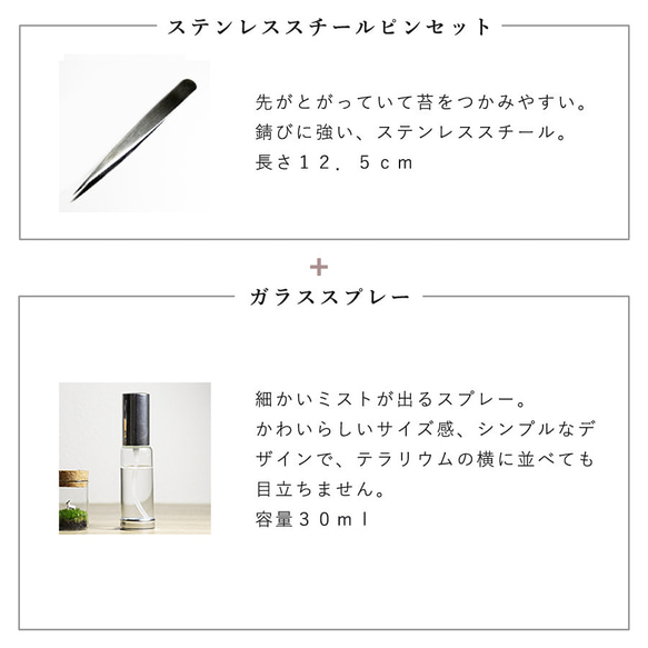 苔テラリウム用 お手入れセット「ピンセット＆スプレー」 3枚目の画像