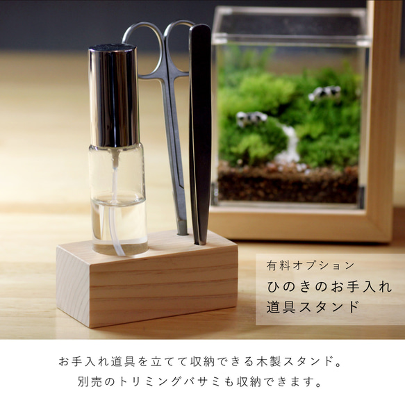 苔テラリウム用 お手入れセット「ピンセット＆スプレー」 6枚目の画像