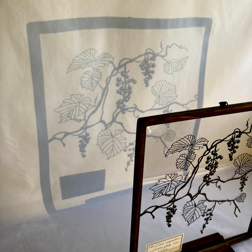 リゼッタ　エーデルワイス　額縁　① ハーバリウム （植物標本）アートフレーム Amazon.co.jp: 両面透明フォトフレーム、木製両面フォトフレーム、両面