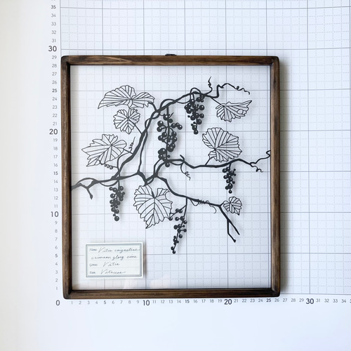 植物標本シリーズ】ヤマブドウの切り絵フレーム タペストリー・壁掛け