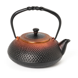 南部鉄器 鉄瓶 「ブラックホール 鍋敷きセット」 0.5L その他キッチン