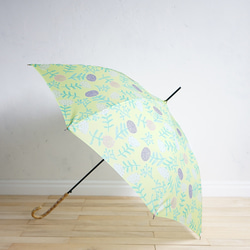 晴雨兩用竹傘 花紋黃花 黃色 ALCEDO 161011 陽傘 雨傘 花黃色 第12張的照片
