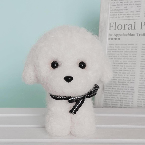 トイプードル（ホワイト　白）の羊毛フェルト　犬 1枚目の画像
