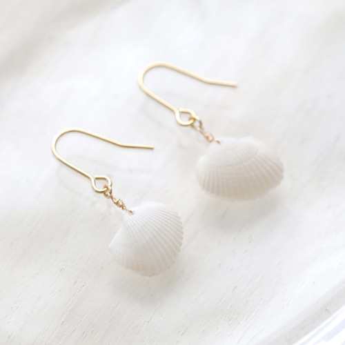 白い貝殻のイヤリング・ピアス ピアス（フック・チェーン） 海の