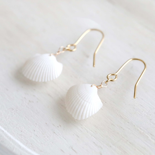 白い貝殻のイヤリング・ピアス ピアス（フック・チェーン） 海の