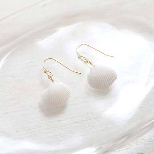 白い貝殻のイヤリング・ピアス ピアス（フック・チェーン） 海の
