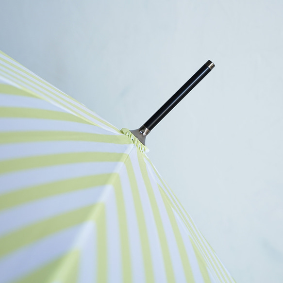 竹傘條紋檸檬 防曬防雨長傘 ALCEDO 161003 遮陽傘 條紋檸檬 第15張的照片