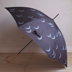 竹傘月亮黑，防曬防雨傘，長傘，ALCEDO 161013，遮陽傘，防雨傘 第11張的照片